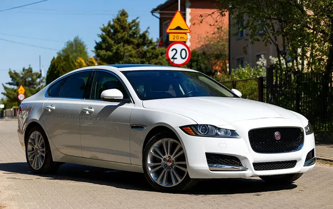 łódzkie Jaguar XF cena 94000 przebieg: 56000, rok produkcji 2019 z Witkowo